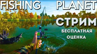 🐟РЫБАЛКА СТРИМ Fishing Planet - ЛОВИМ ТРОФЕИ / ВЕЧЕРНИЙ ЧИЛЛ / ОЦЕНКА КАНАЛОВ / РЫБАЛКА НА ПОПЛАВОК!