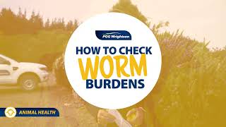 Check worm Burdens | PGG Wrightson