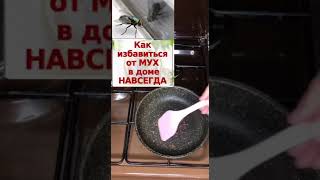 как избавиться от мух и комаров