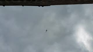 Chat: helicopter hanging out above my residence(1)