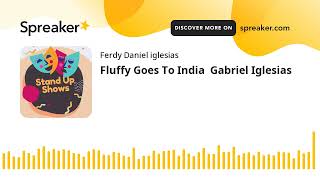 Fluffy Goes To India  Gabriel Iglesias