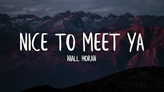 Niall Horan - Nice To Meet Ya (Lyrics / Lyric Video)