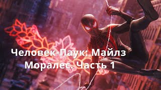 MARVEL Человек-Паук: Майлз Моралес