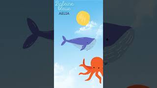 Baleine bleue #musique #histoire #animaux #baleine