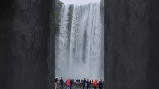 Most famous waterfall in Iceland 🇮🇸 #waterfall #iceland #shortsvideo #shorts