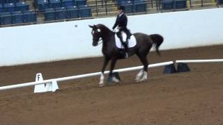 Cash Advance, Prix St George, July 2012, Dressage at Lexington