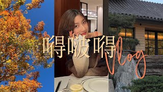 嘚吧嘚VLOG丨两周年纪念日丨聊聊婚礼幕后的故事丨Savislook