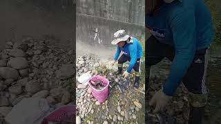 Napakaraming huli #hectortvvlogs #fishing #shorts