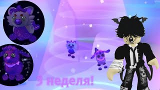 УЖЕ СЕГОДНЯ! 3 НЕДЕЛЯ НОВОГО ОБНОВЛЕНИЯ! /Roblox adopt me