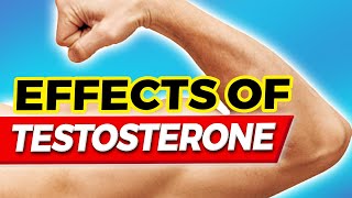 What Happens to Your Body Under The Influence Of Testosterone