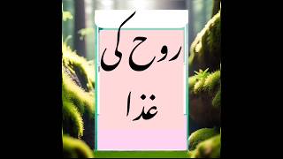 #rooh ki ghoza#hadeesenabvi #islamic #reels #tilawatequran #viral