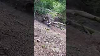 wales on the enduro bikes stuck sessions 🤣