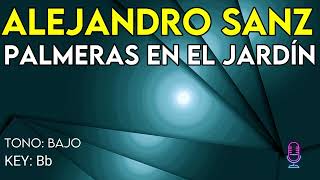 Alejandro Sanz - Palmeras En El Jardìn - Karaoke Instrumental - Bajo