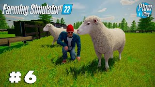 🏝️ STARTING WITH SHEEPS ep  6 I BOUGHT ABANDONED ISLAND 🚜 Farming Simulator 22  Plow And Play