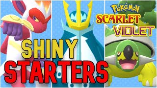 Shiny Starters Pokemon; Chimchar, Piplup and Turtwig [Pokemon Scarlet and Violet]