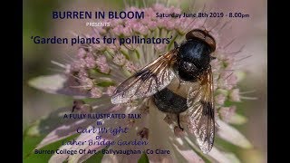 Garden Plants for Pollinators by Carl Wright