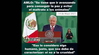 Amlo sobre La Paz y el maltrato animal 🦒 🦓 🦔