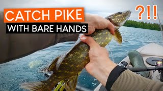 Catching pike with BARE HANDS? Done! Kayak fishing for perch and pike!