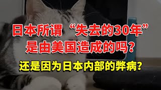 日本所谓“失去的30年”是由美国造成的吗，还是是因为日本内部的弊病？ #今日话题  #每日段子