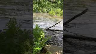 Androscroggin River #trending #nature #flood