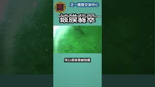 鍍膜塗層翡翠的簡易鑑定方法 #shorts