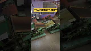 Tea Factory Ooty