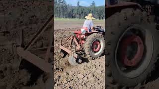 Aleirando com o Agrale/ Leguminoso