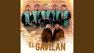 Soy el Gavilán