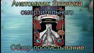 Анатомиум: Эстетика омерзительного / анатомическая раскраска для школьников / организм человека