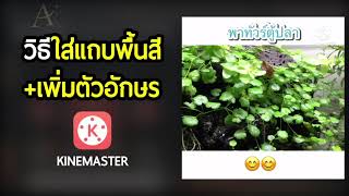 สอน Kine Master - Aura Rich