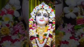 Radharani#radharanibhajan #radharanilage #radhakrishn #radha#vrindavandham #vrindavn #vrindavanradha