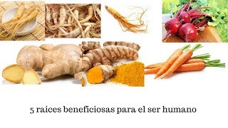 5 Raices que aportan beneficios al ser humano |Kenimar