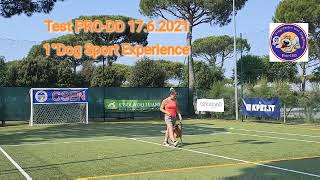 Test PRO-DD 17.6.2021 / 1° Dog sport experience