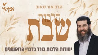 יסודות הלכות בורר בדברי הראשונים | הרב אור טאוב | שיעור מספר 3 | שיעור לנשים