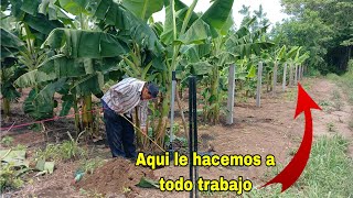 Aura le hace a todo trabajo😱asi es como nos conocen por trabajadores y lo demostramos😱