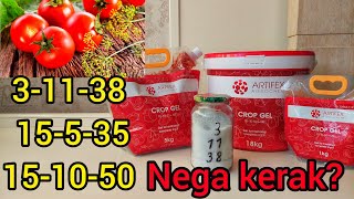 3-11-38, 15-5-35, 15-10-50 Озукалар него керак? Помидор, Бодринг хосили учун энг керекли озукалар