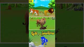 Lion & Tiger Tail Tied  | Animals Stories | jungle book story  | సింహం & పులి తోక ముడిపడింది_02