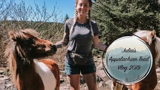 Appalachian Trail Vlog 2019 #9 Damascus to Bland