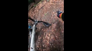 Pilipetc - Wet Green Trail  mtb double crash