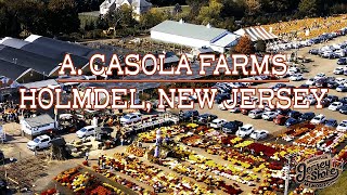 A. Casola Farms | Holmdel | New Jersey | 4K Drone Footage #fallvibes