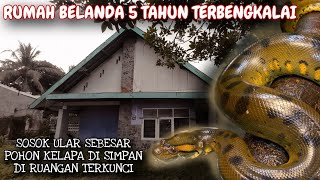 ULAR BESAR PENJAGA RUMAH BELANDA ANGKER - JEMBER