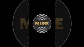 Launching Muse Record Label 🎶 Stay Tuned for Big Updates 🤩 #logoreveal #muse #musiclabel