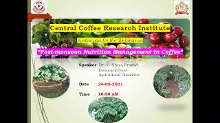 Post monsoon nutrition management in Coffee