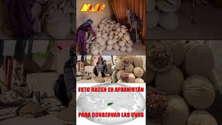 MIRA LO QUE HACEN EN AFGANISTÁN PARA CONSERVAR LAS UVAS│#Viral #Afganistán #Uvas