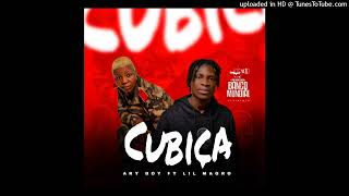 Ary Boy feat Lil Magro - Cubiça (Kuduro) (Visualizer)