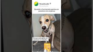 QUANDO O FUNCIONÁRIO GANHA O PANETONE DA EMPRESA🤣 #memes #humor #shorts #videos