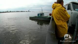 Ferrying across the Barguzin River, Buryatia