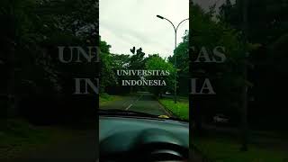 HUTAN UNIVERSITAS INDONESIA #shorts