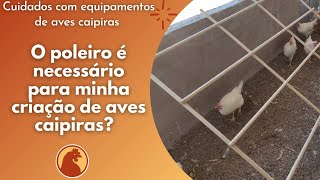 O poleiro é necessário para minha criação de aves caipiras?