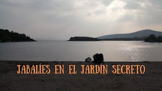 #vlog 18: Jabalíes en el Jardín Secreto